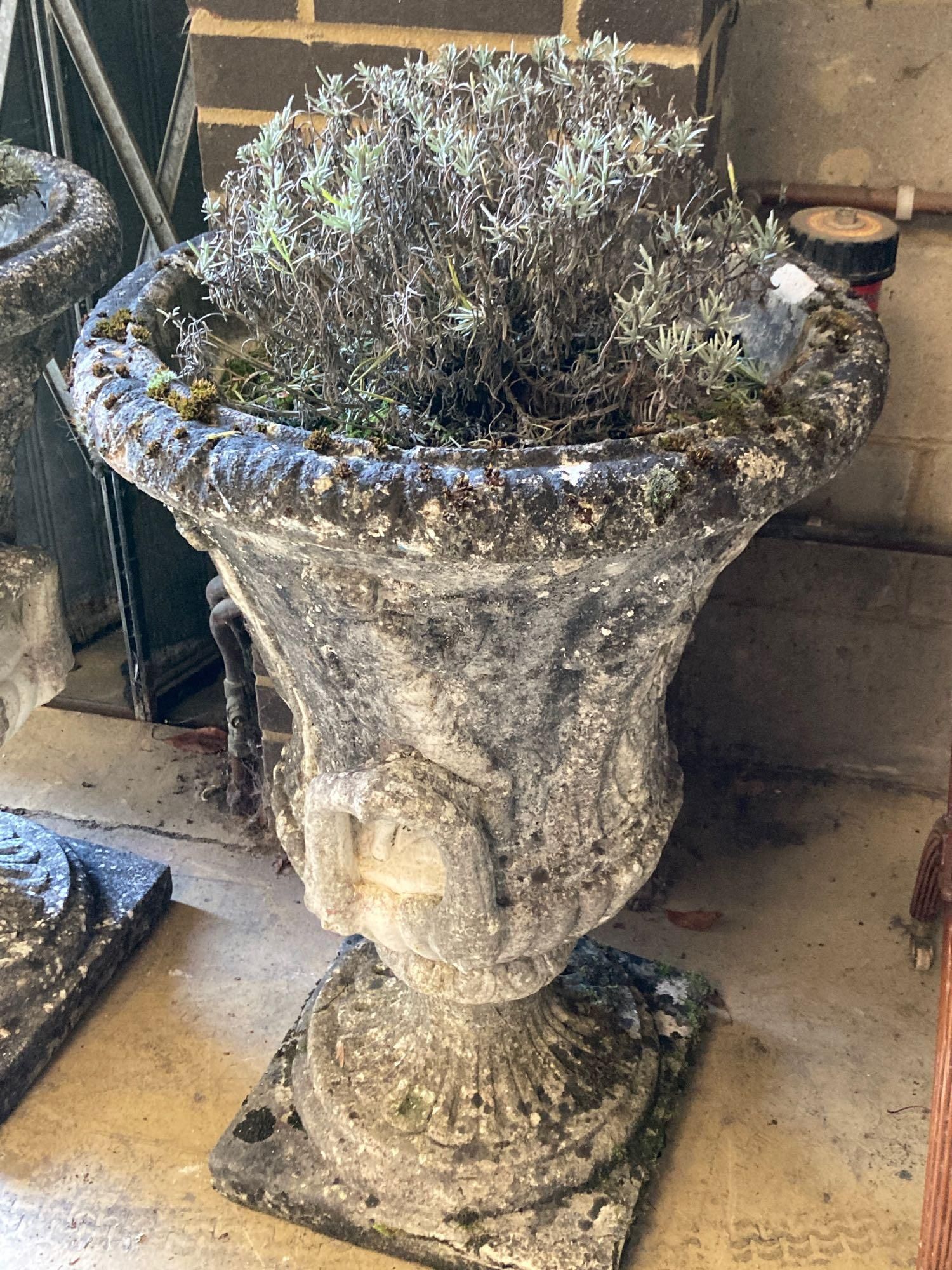 A pair of weathered composition stone urns and pedestals, diameter 56cm height 81cm